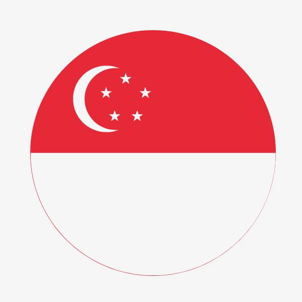 Singapore flag